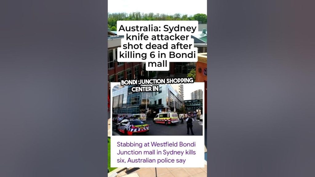 Sydney Knife Attacker Shot Dead After Killing 6 in Bondi Mall - HLFACTS ...